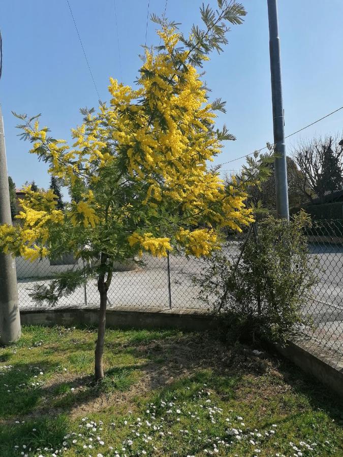 La Birichina Apartment Santarcangelo di Romagna Luaran gambar